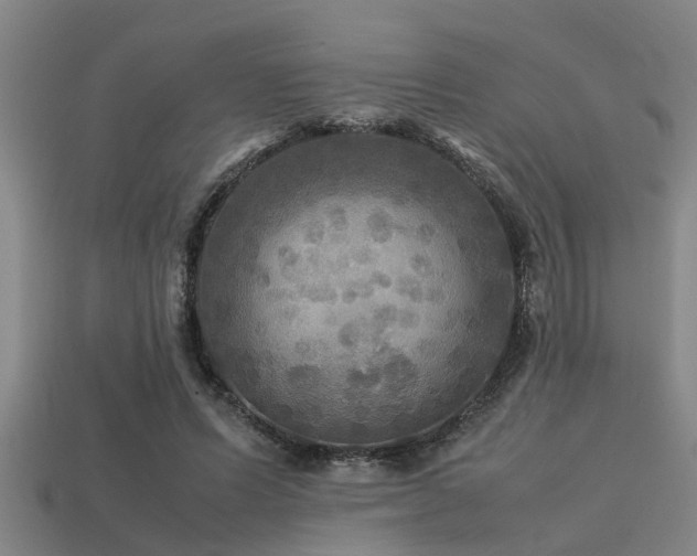 X0000113290591200909141206