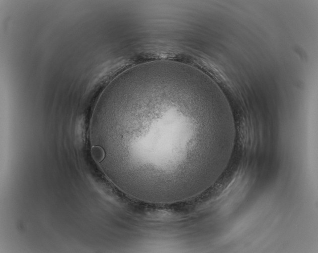 X0000113290594200909141206