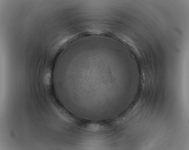 X0000113290596200909141206