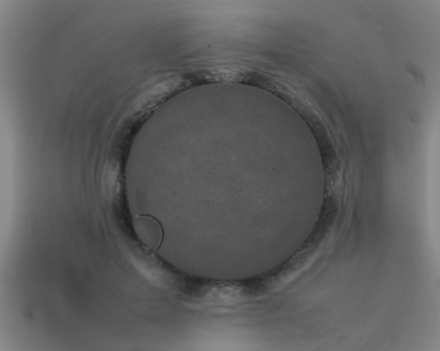 X0000113290599200909141206