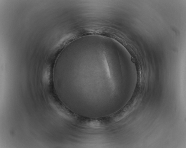 X0000113290600200909141206