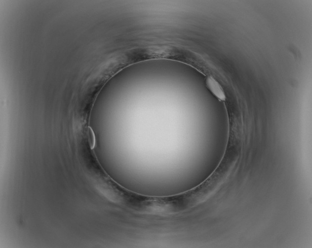 X0000113290601200909141206