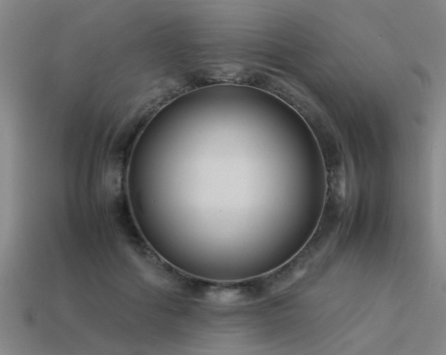 X0000113290602200909141206