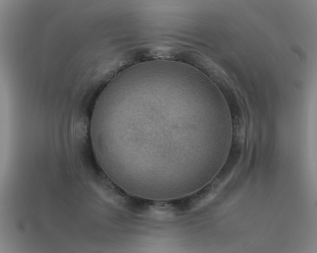 X0000113290603200909141206