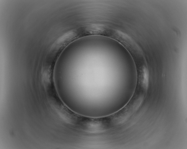 X0000113290604200909141206