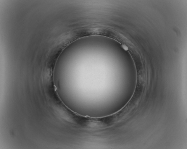 X0000113290605200909141206