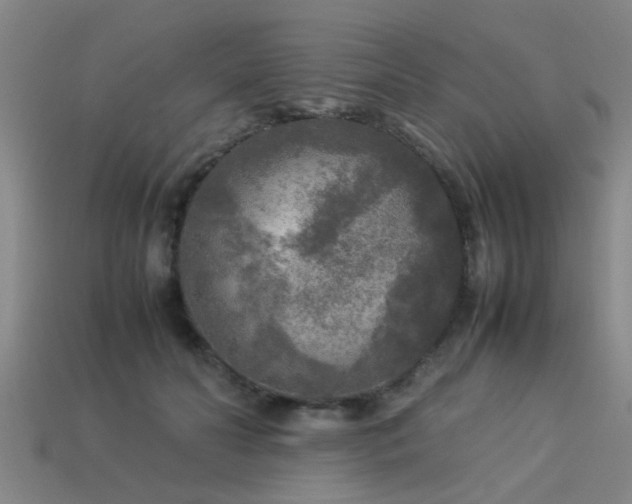 X0000113290606200909141206