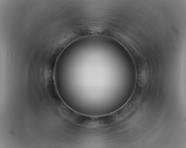 X0000113290608200909141206