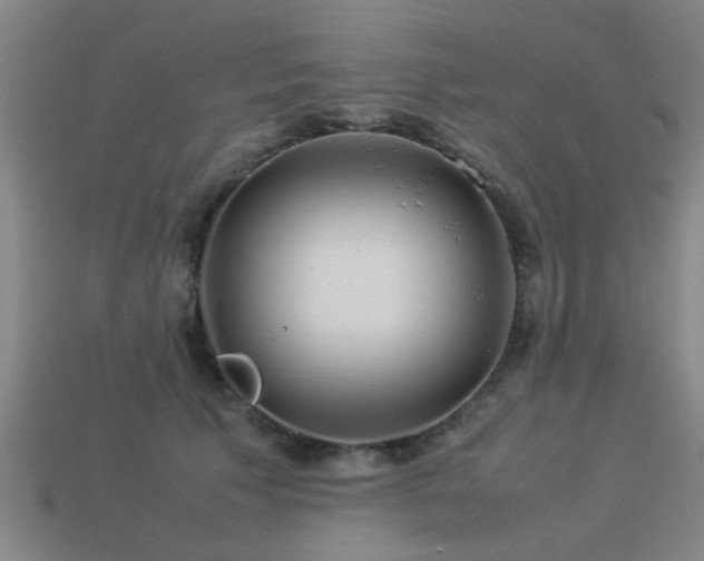 X0000113290609200909141206