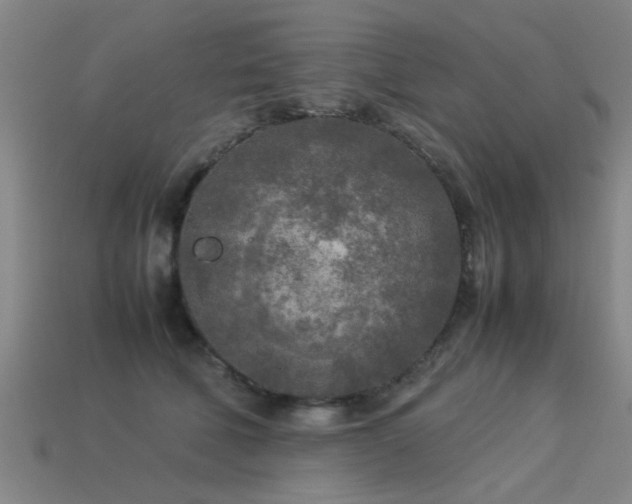 X0000113290610200909141206