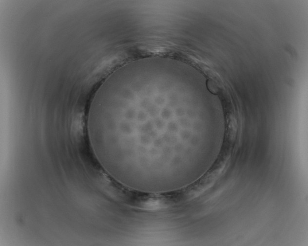 X0000113290612200909141206