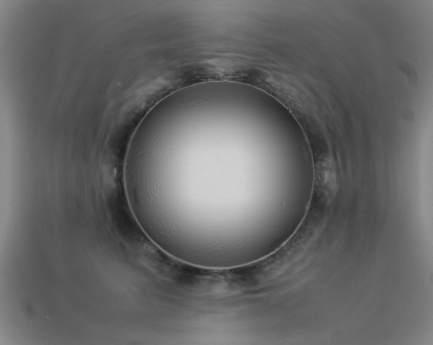 X0000113290615200909141206