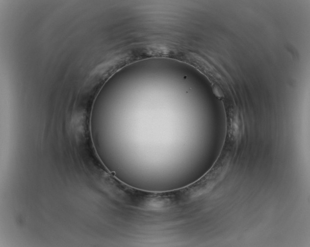 X0000113290616200909141206