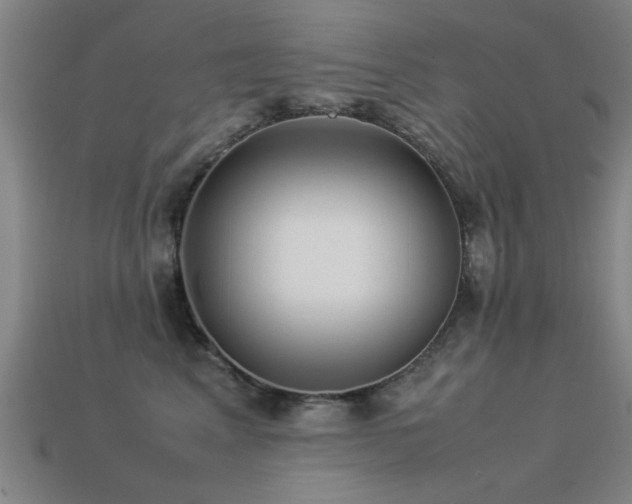 X0000113290617200909141206