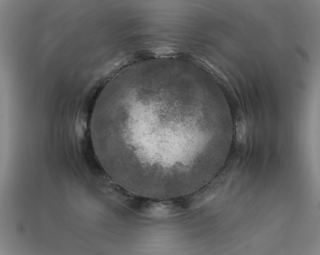 X0000113290618200909141206