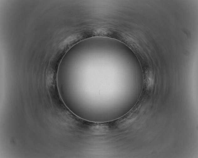 X0000113290619200909141206