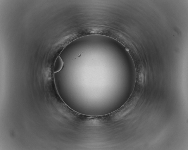 X0000113290620200909141206