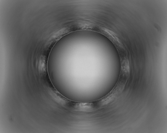 X0000113290622200909141206