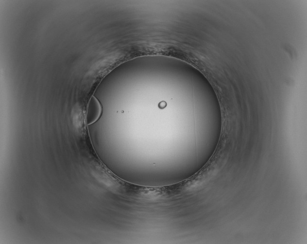 X0000113290624200909141206