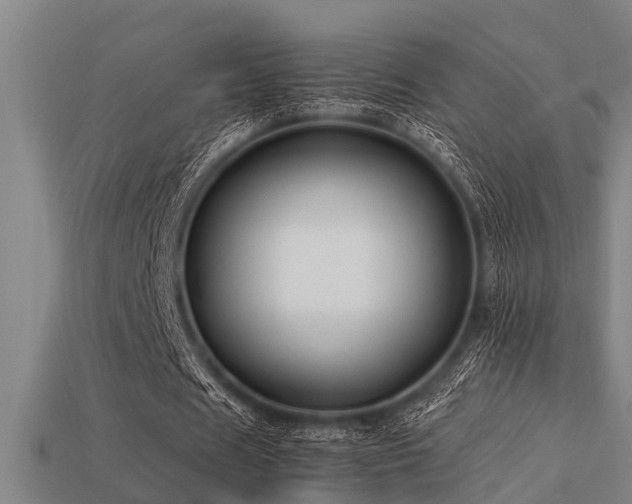 X0000113290625200909141205