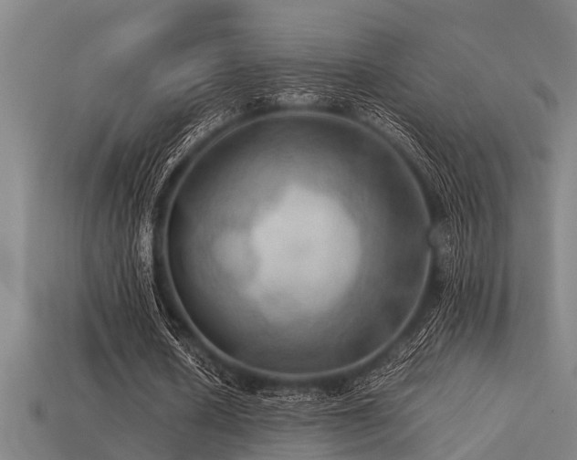 X0000113290626200909141205