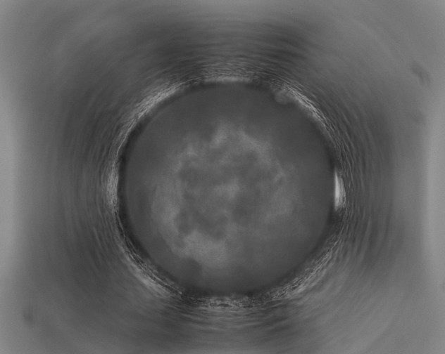 X0000113290627200909141205