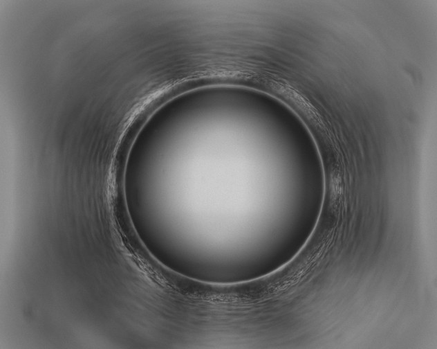 X0000113290628200909141205