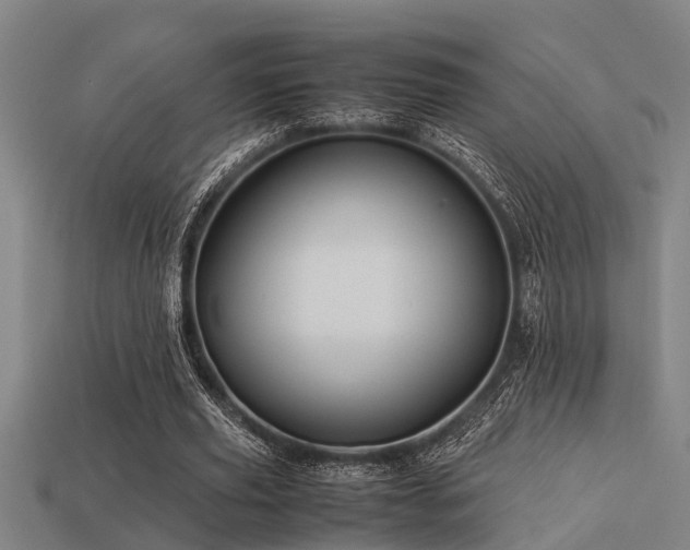 X0000113290629200909141205