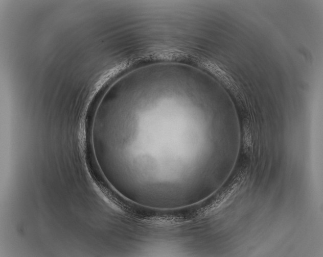 X0000113290630200909141205