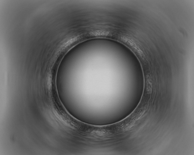 X0000113290631200909141205