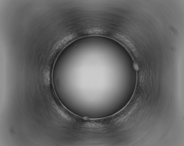 X0000113290633200909141205