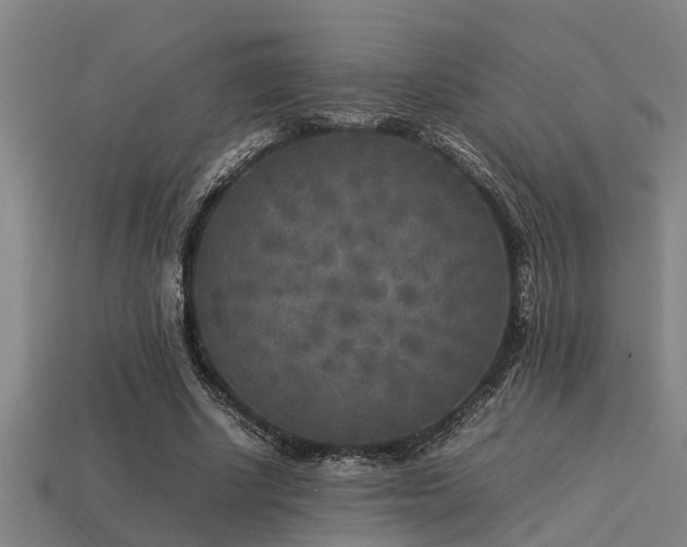 X0000113290634200909141205