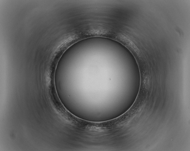 X0000113290635200909141205