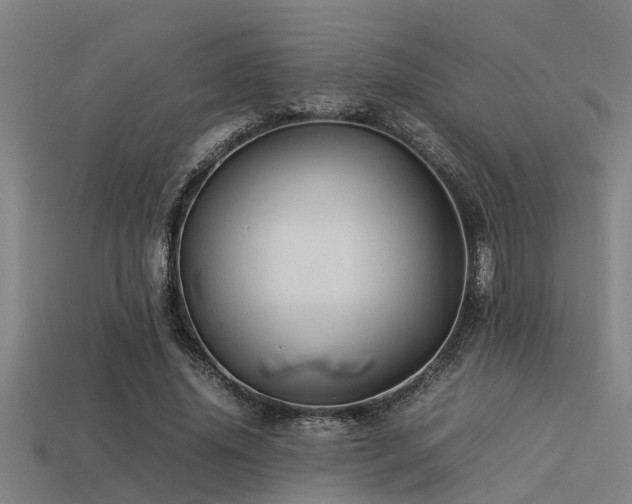 X0000113290636200909141205