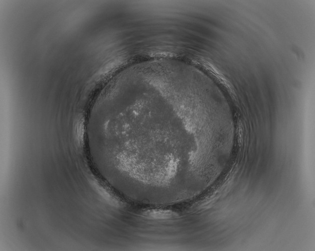 X0000113290637200909141205