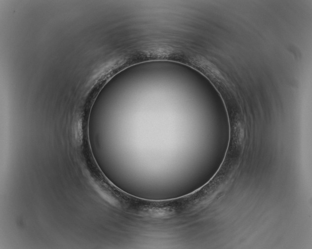 X0000113290638200909141205