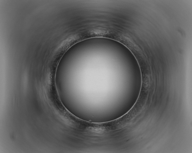 X0000113290639200909141205