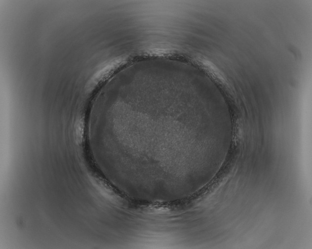 X0000113290640200909141205