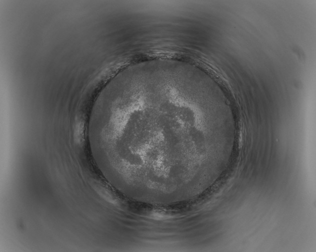 X0000113290641200909141205