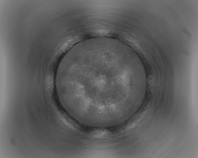 X0000113290642200909141205