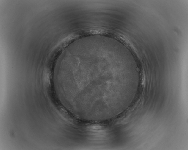 X0000113290643200909141205