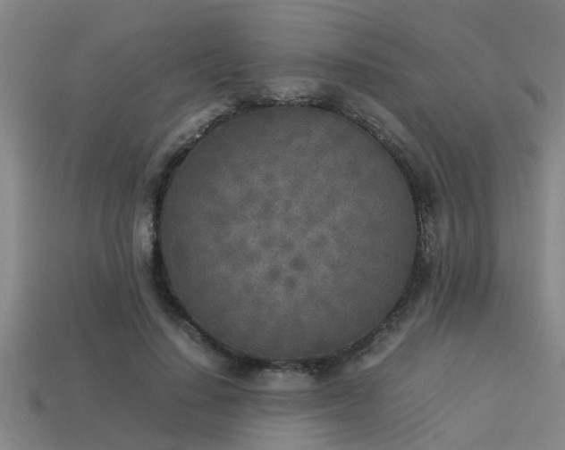 X0000113290644200909141205