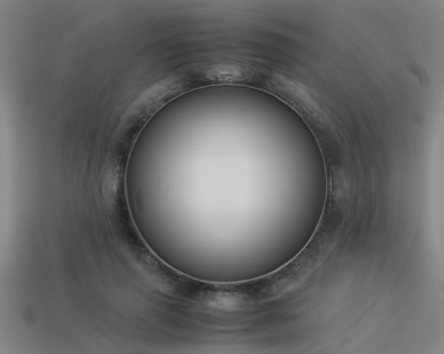 X0000113290645200909141205