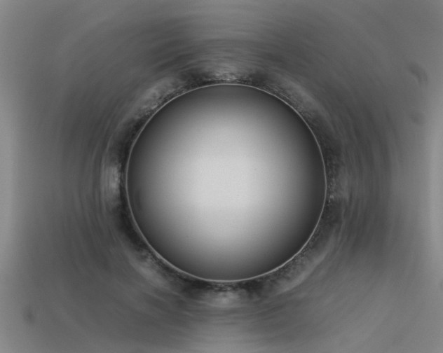 X0000113290646200909141205