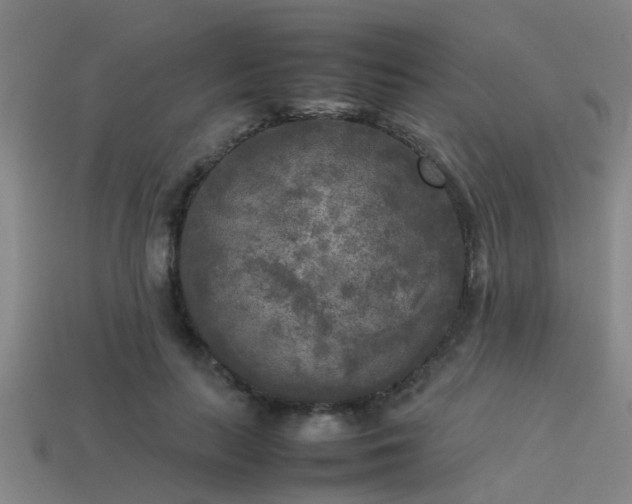 X0000113290647200909141205