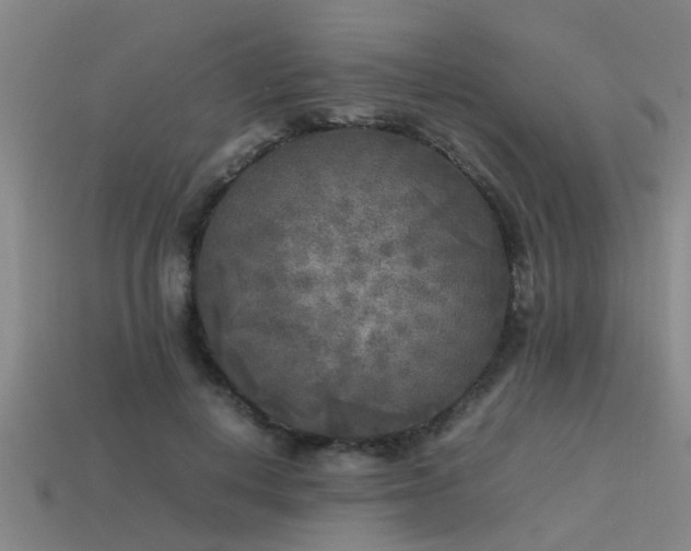 X0000113290648200909141205