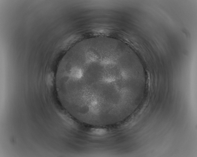 X0000113290649200909141205