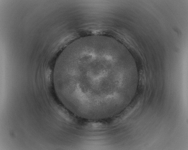 X0000113290650200909141205