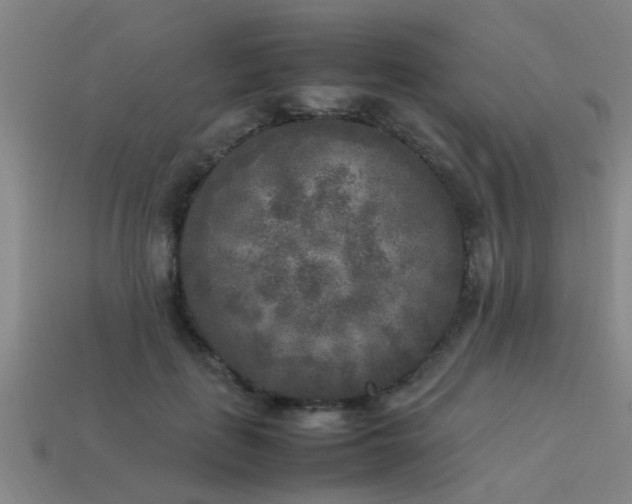 X0000113290651200909141205