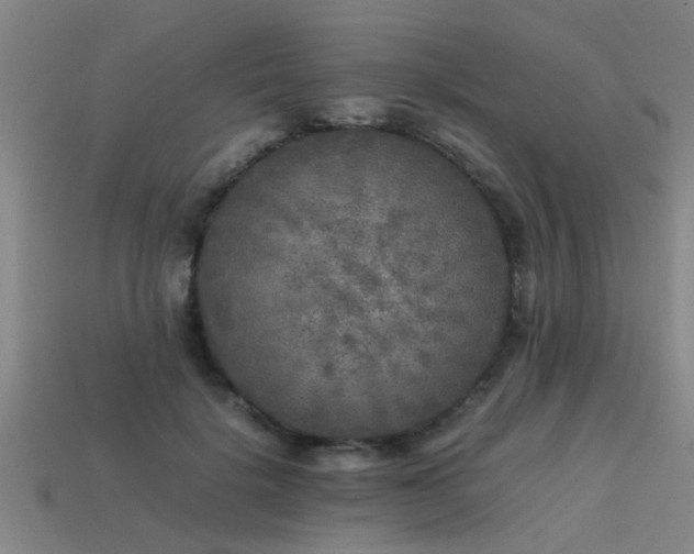 X0000113290652200909141205